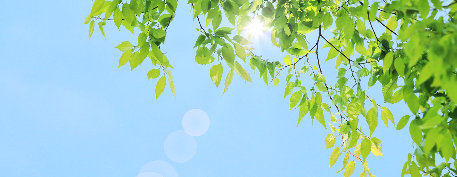 キービジュアルイメージ01